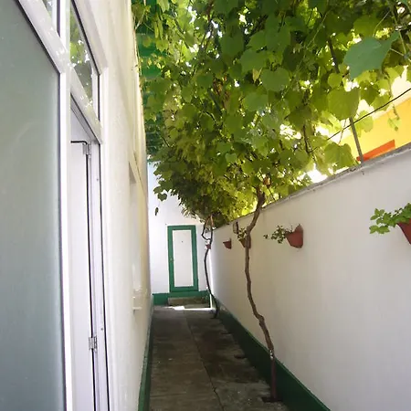 Appartement Pinciuc *